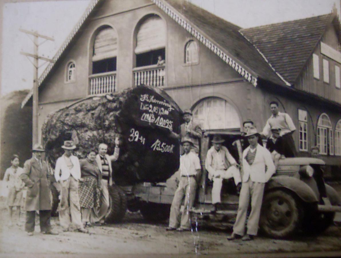 Hotel Scholze Canoinhas Ngoại thất bức ảnh
